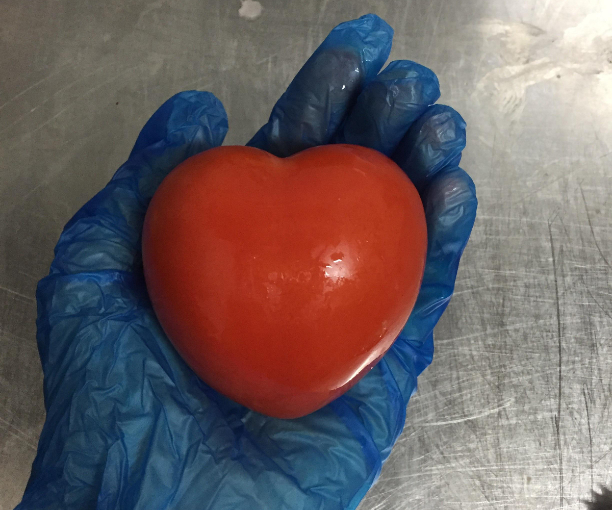 heart shaped tomato Worker wearing gloves holds a heart-shaped tomato.
