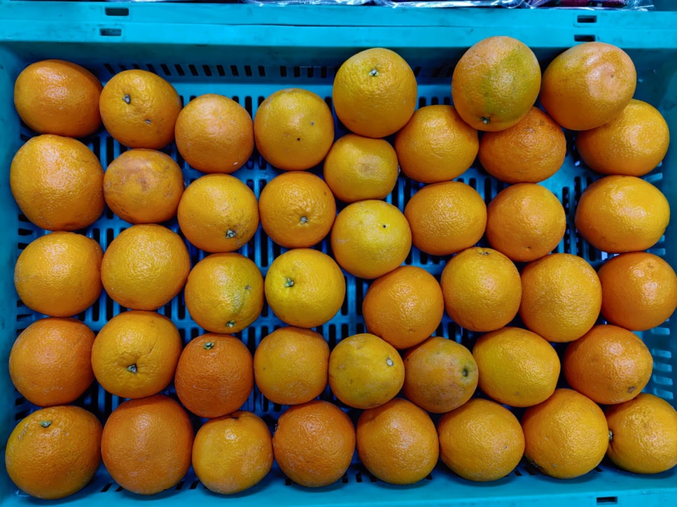 oranges in a blue box A blue plastic crate is filled with oranges.