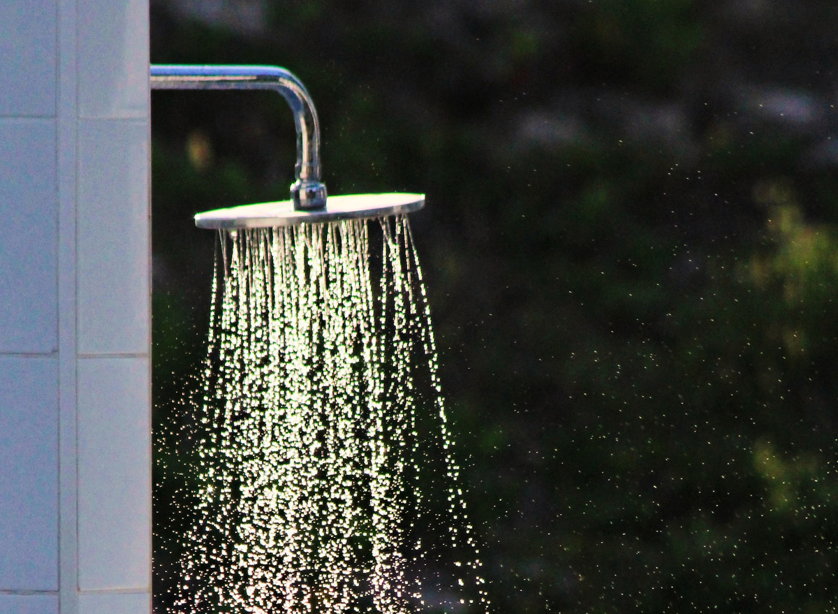 shower water A shower head sprays water.