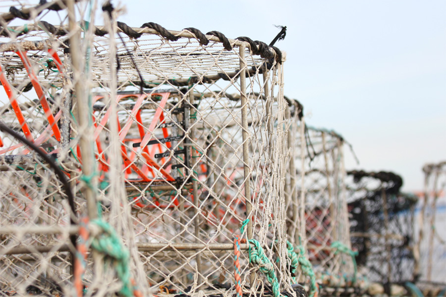 crab-cages-lined-up-on-boat-83046 crab-cages-lined-up-on-boat-83046
