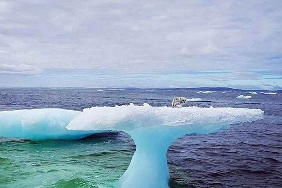 fisherman-iceberg-mystery-discovery-12670 fisherman-iceberg-mystery-discovery-12670