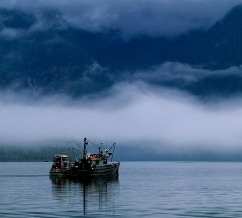 fishing-in-canada-at-night-93732-76262 fishing-in-canada-at-night-93732-76262
