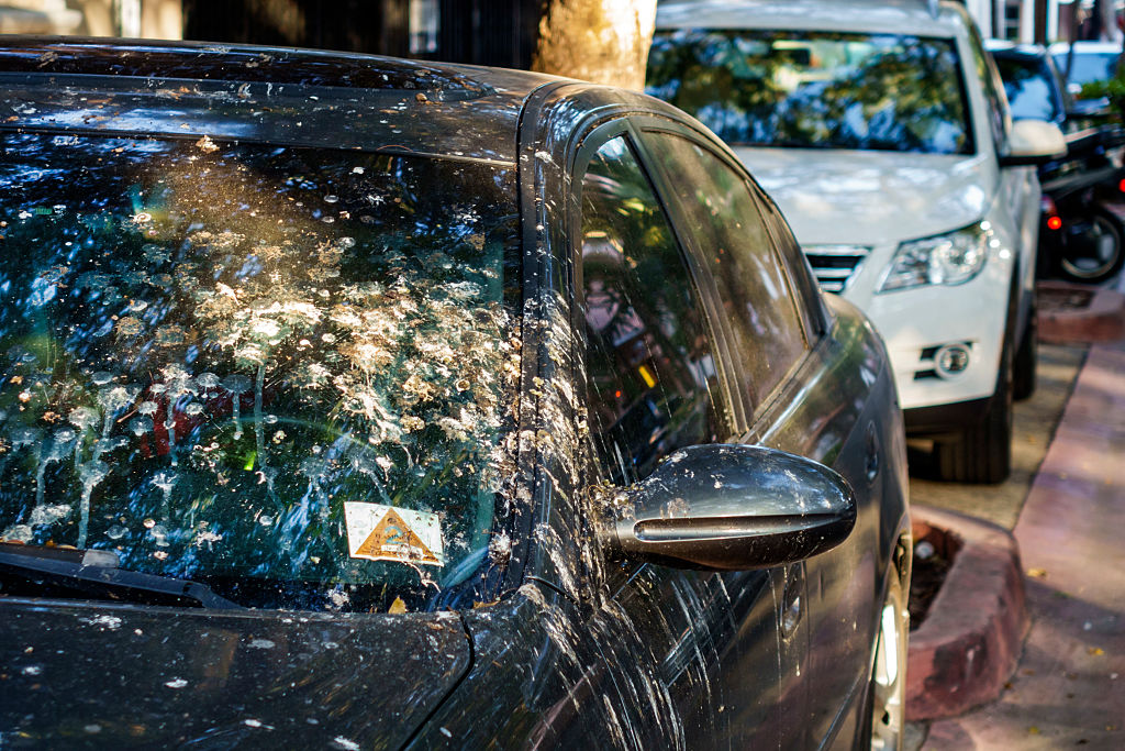 clean your car a dirty car