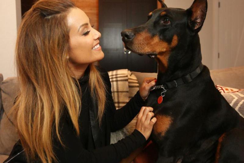 doberman-pinscher A woman pets her Doberman while they sit on the couch.