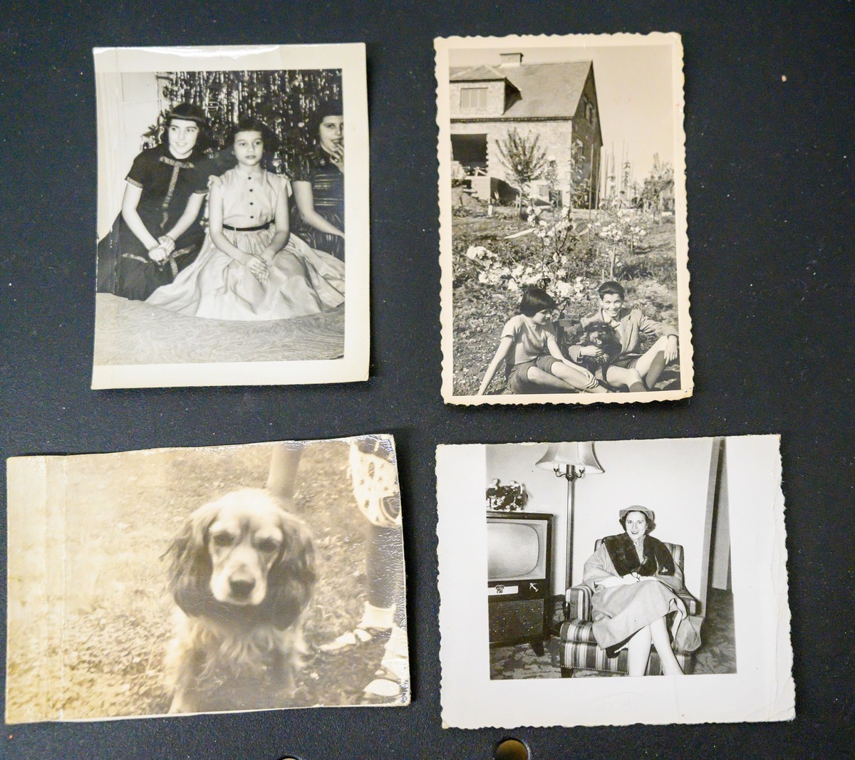 family photos in Patti's purse