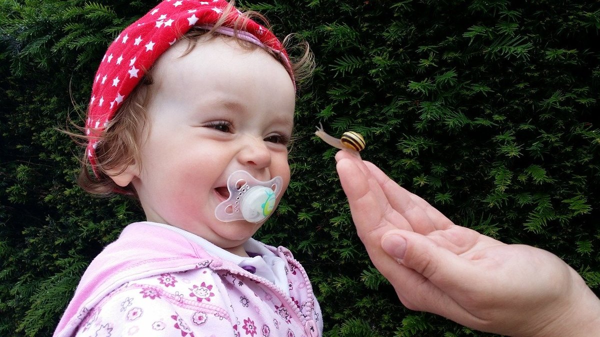 pacifier