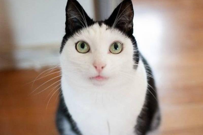 AnimalLoveEdits_06-55131 AnimalLoveEdits_06-55131
