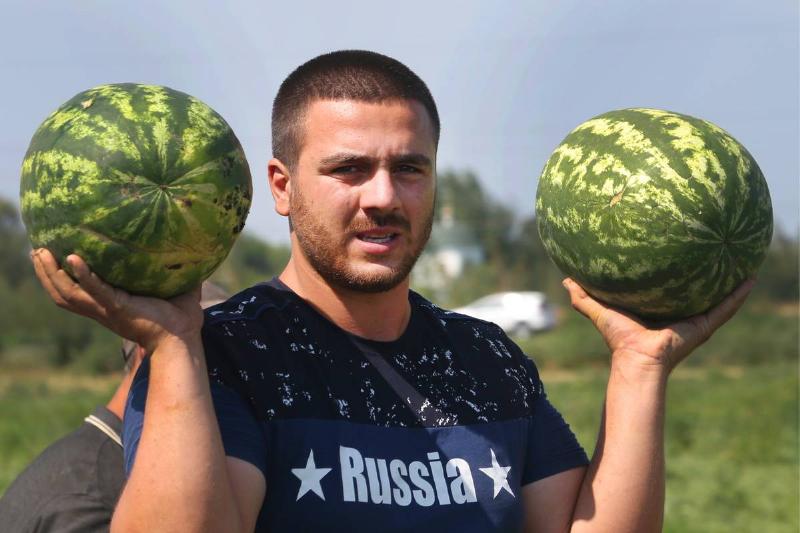 holding watermelons - 1008975492 A Russian harvester holds up two watermelons.