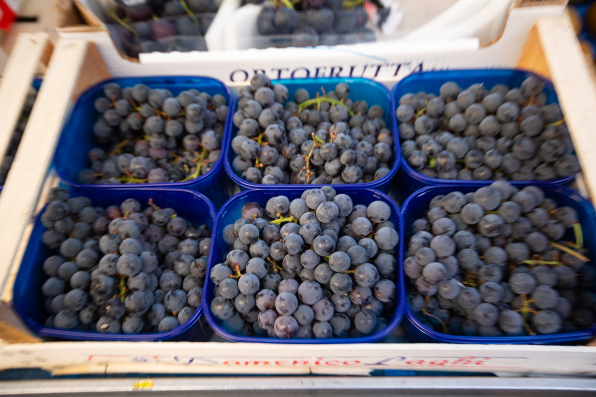 blueberries - 1017284698 Six containers of blueberries sit in a cardboard box.