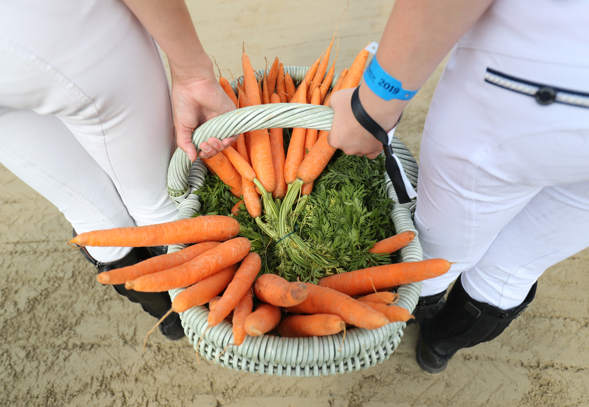 basket of carrots - 1150166851 Two girls carry a woven basket of carrots.