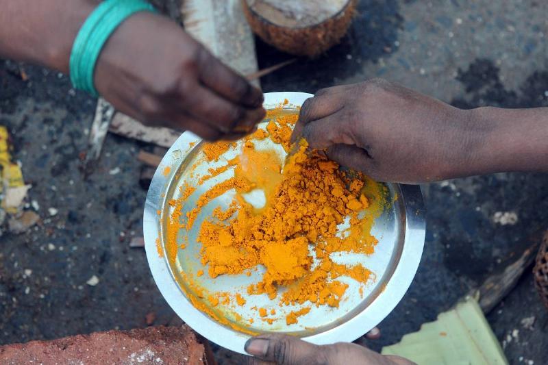 turmeric powder-159466912 Women pick up powdered turmeric from a plate.