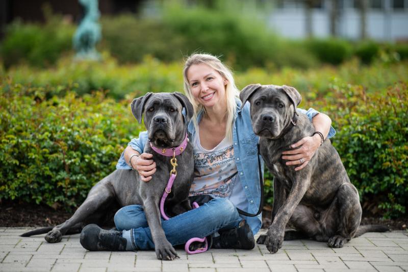 cane-corsos A woman sits on the ground and puts her arms around her two cane corsos.
