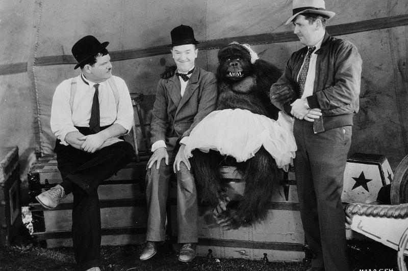 filming of 'The Chimp'
