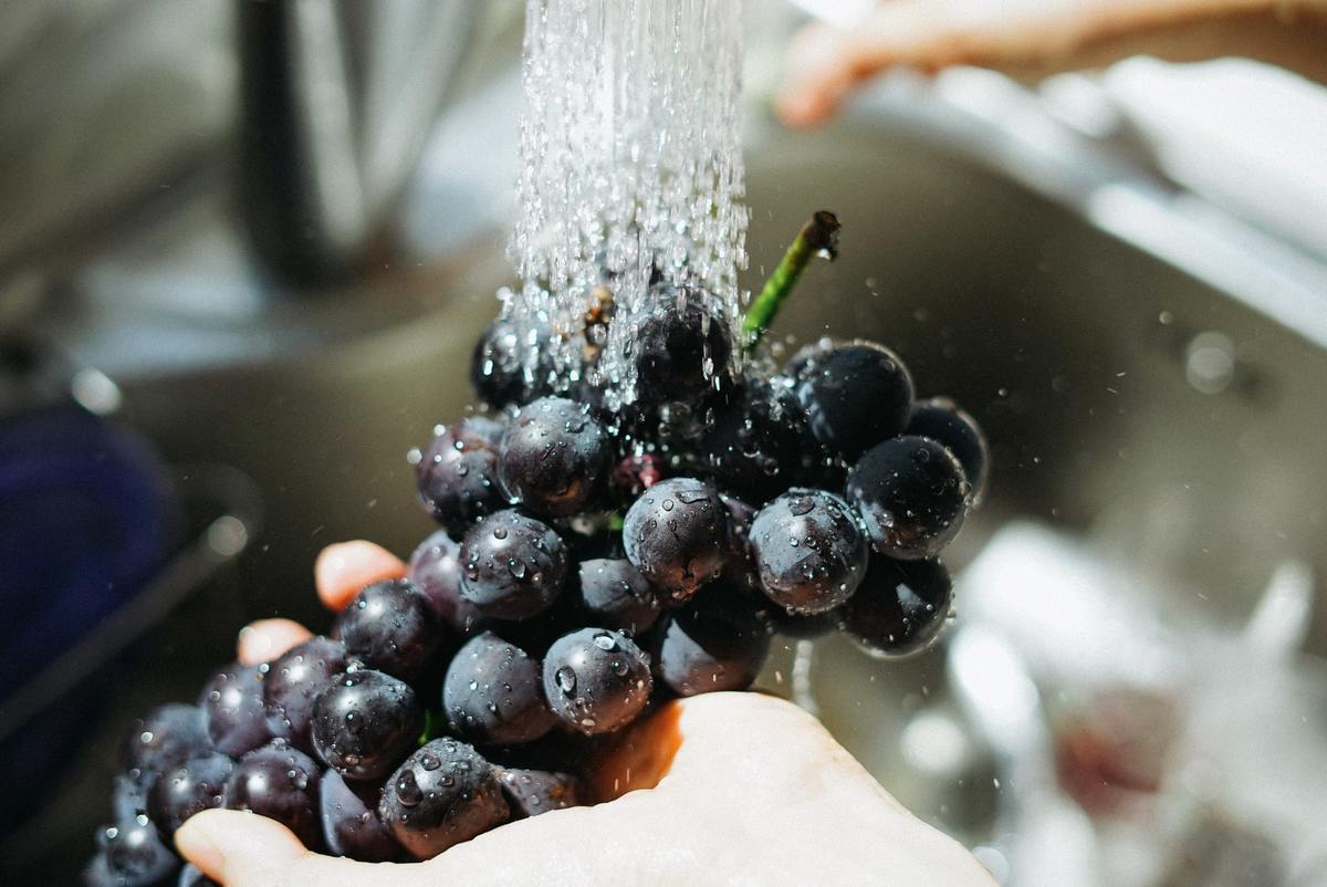 washing grapes A person washes grapes in a sink.