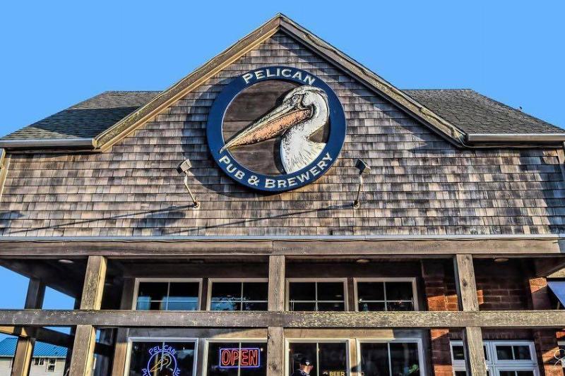 pelican pelican