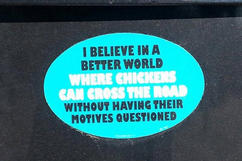 chickens crossing the road chicken cross the road bumper sticker