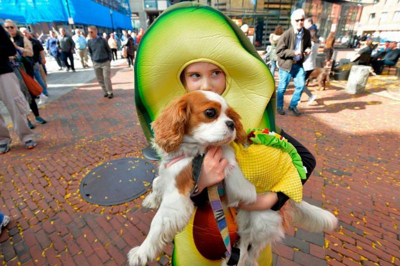 avocado 1178401699 a girl in an avocado costume holding up her puppy in a taco costume