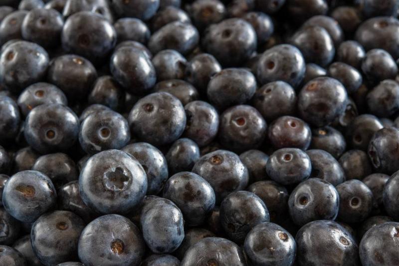 blueberries 1159840955 close-up of a pile of blueberries