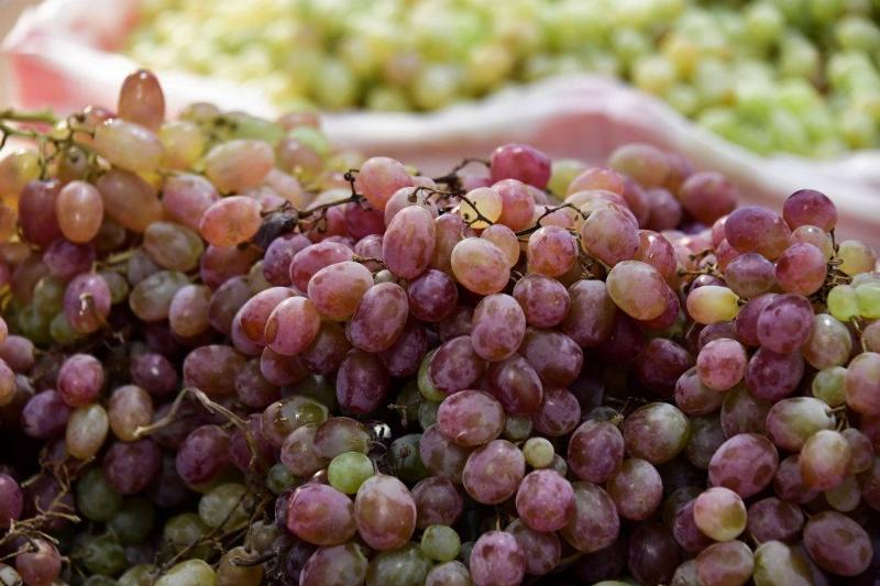 grapes 1178203057 a close-up of purple and green grapes