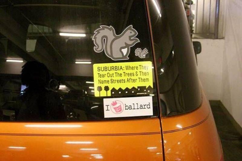 squirrel bumper sticker squirrel bumper sticker about taking trees down