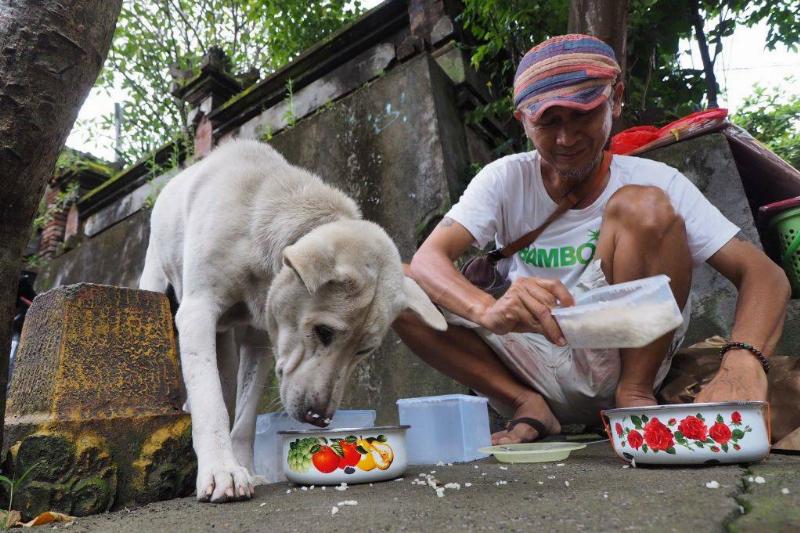 white rice 916094232 a man feeding a stray dog some rice