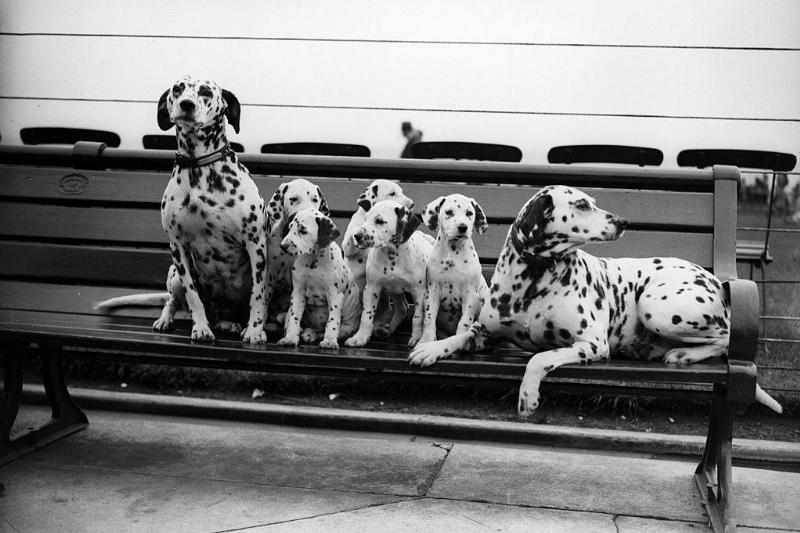 GettyImages-3088324