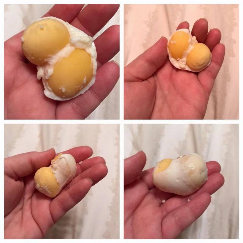 egg that had two yolks
