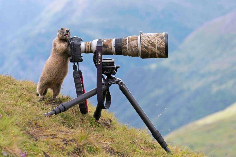 GettyImages-1162728390 GettyImages-1162728390