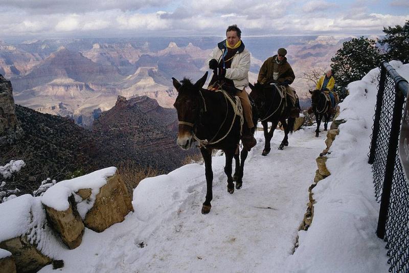 People riding horses 