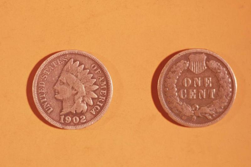 Indian Head Cent