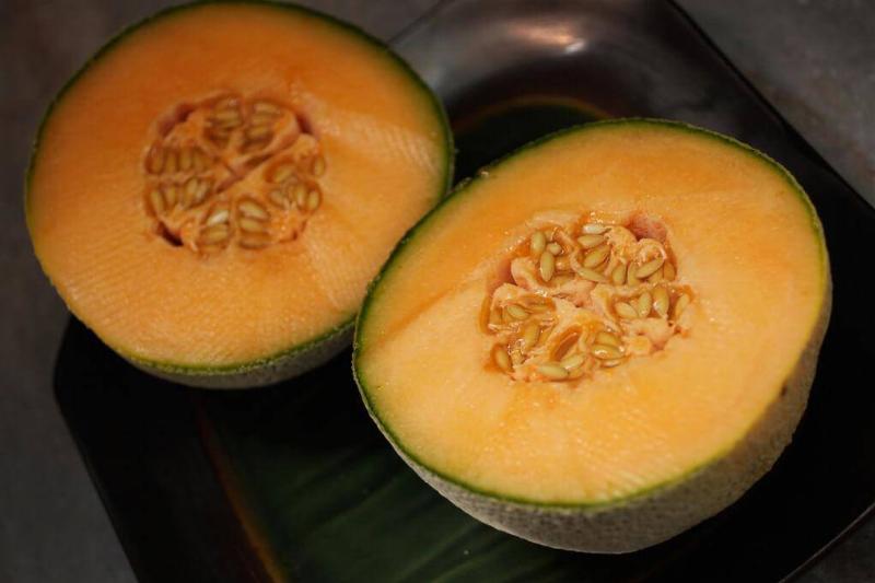 Cantaloupe Can Do it All Cantaloupe Can Do it All