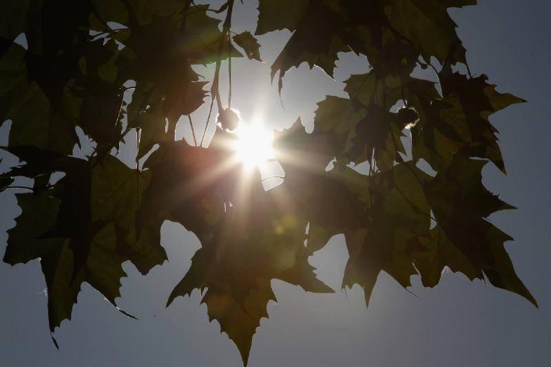 GettyImages-104374911-65774 GettyImages-104374911-65774