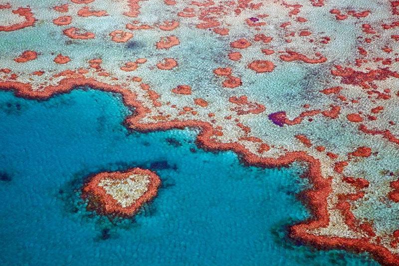 Picture of the Great Barrier Reef 