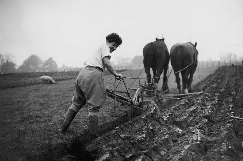 Woman plowing fields 
