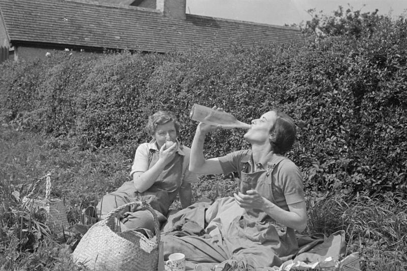 Women having a picnic