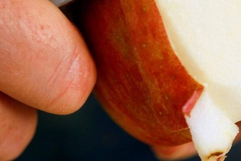 apples apples