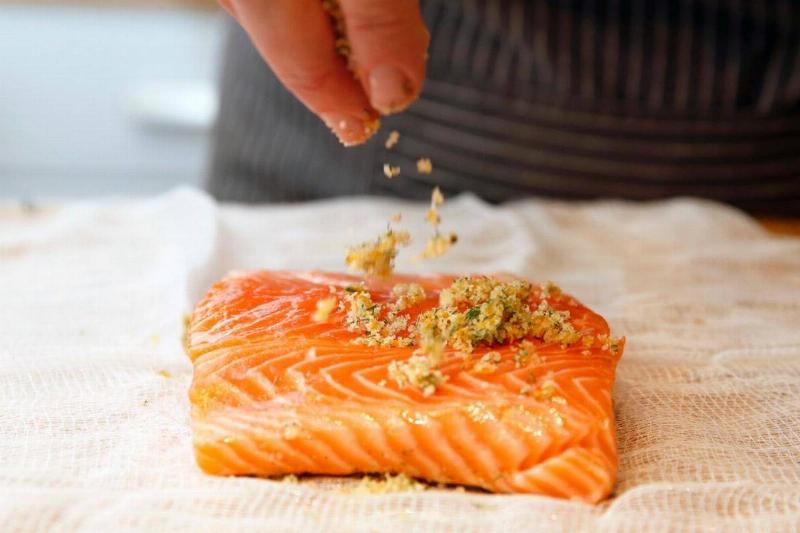 salmon salmon