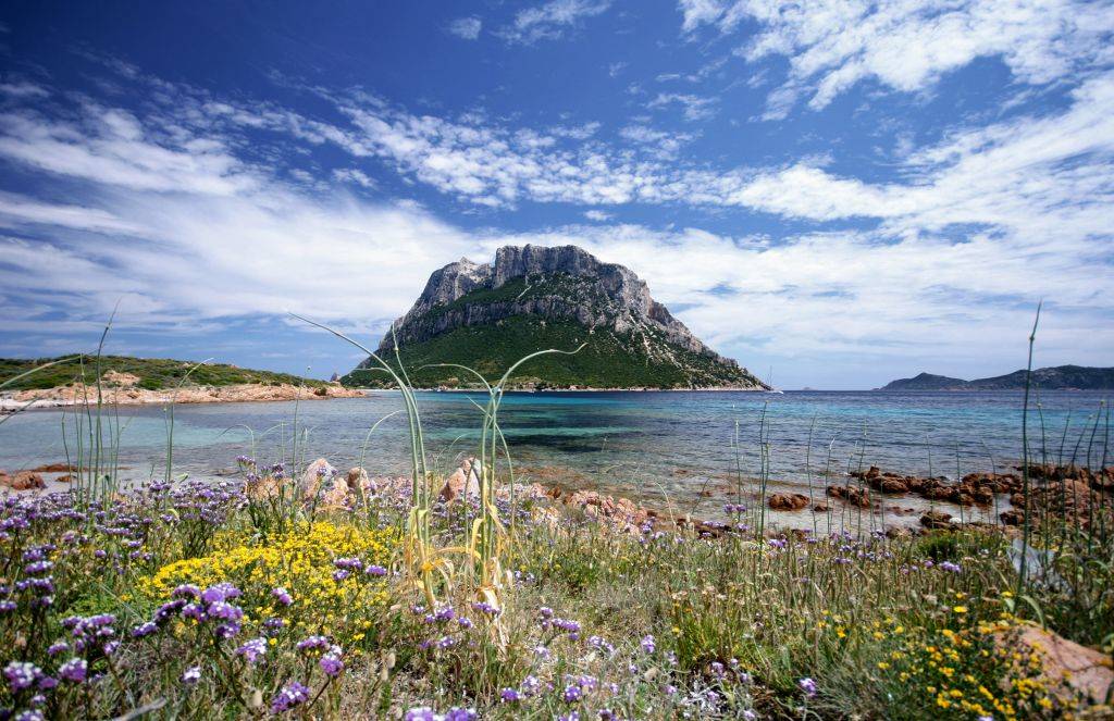 Tavolara -805299392 Picture of the island