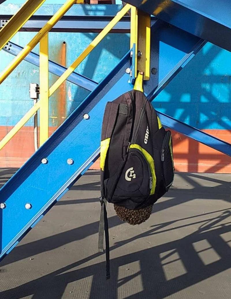 backpack hanging from metal railing with a bunch of bees swarmed on the bottom
