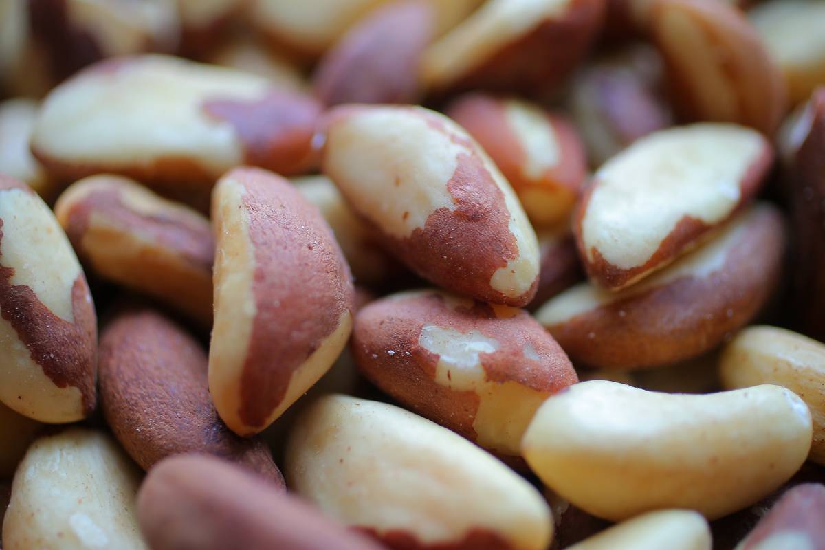 A close-up photo shows Brazil nuts in a pile.