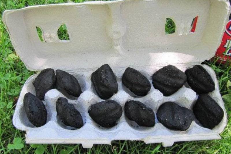 Picture of an egg carton 