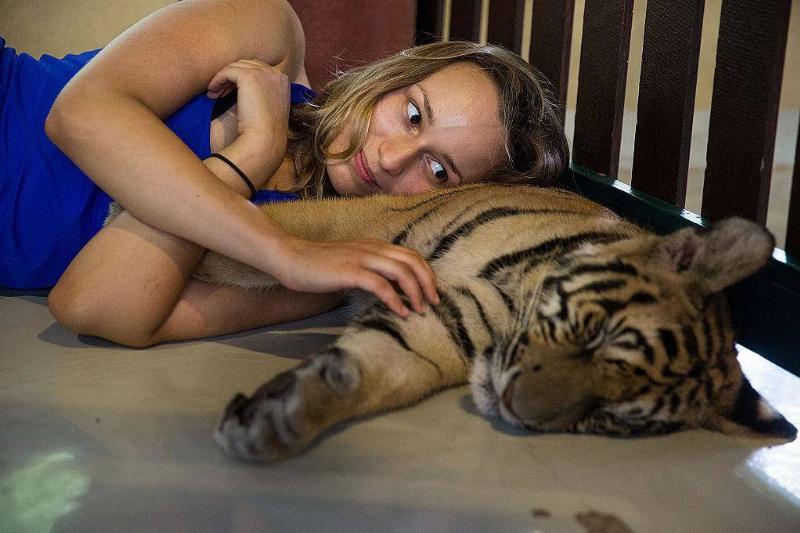 GettyImages-482240084-63354 GettyImages-482240084-63354