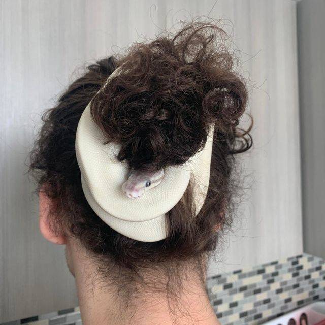 person with white snake in their hair