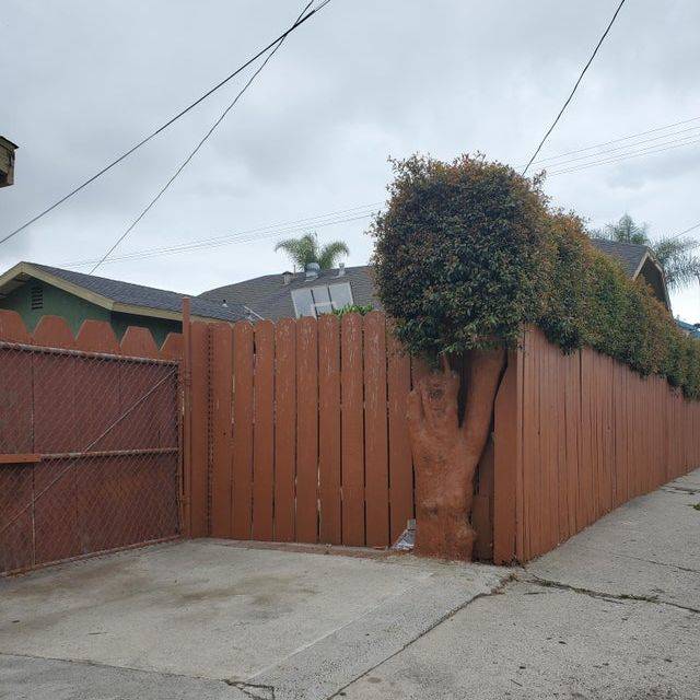 tree painted brown to match fence