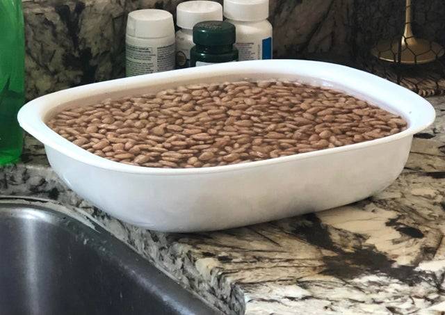 container of beans soaking on counter