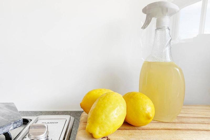 vinegar-spray vinegar-spray