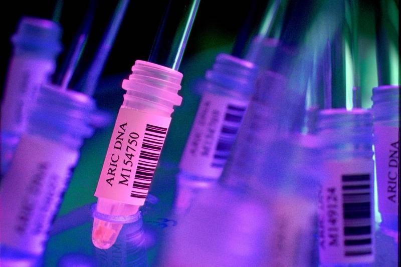 DNA samples DNA samples are illuminated in blue and purple light in a laboratory.