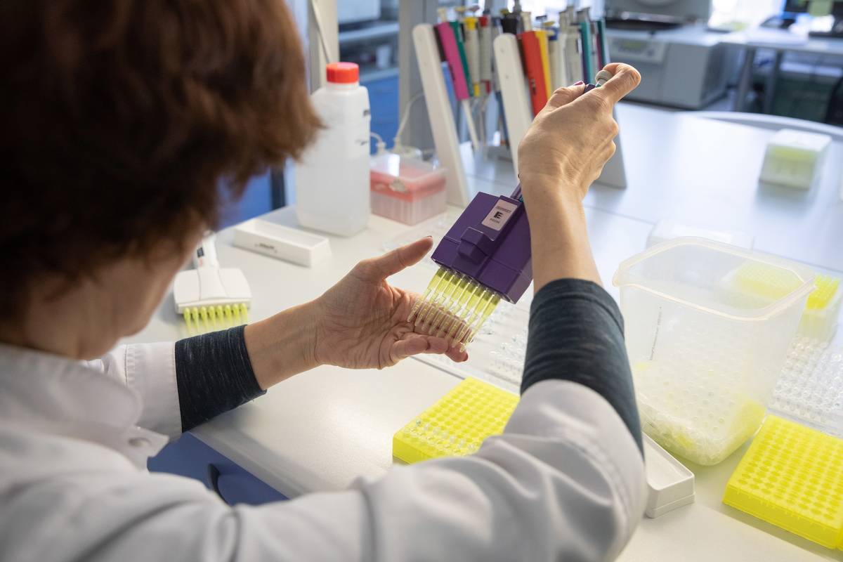 DNA testing A woman prepares DNA samples for studying.