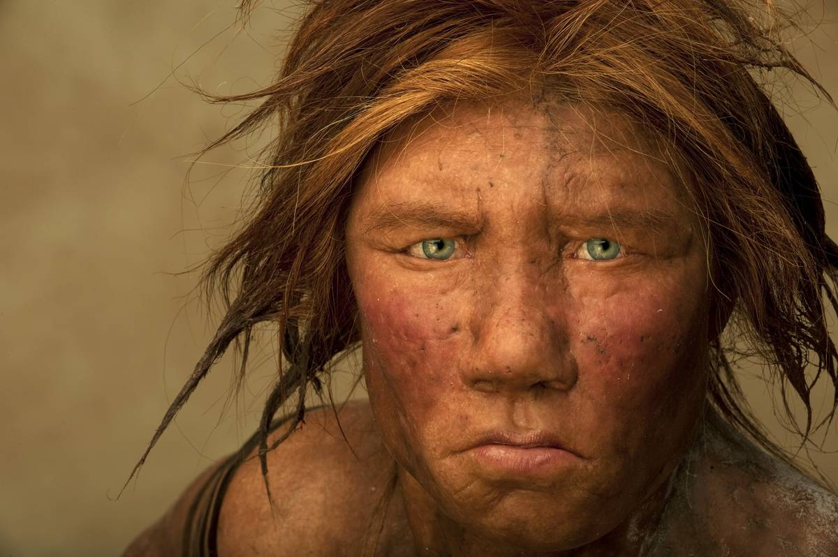 ancient human face This model shows the face of an ancient human woman.