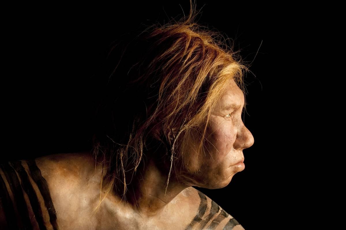 ancient woman An ancient Neanderthal woman model was created by Dutch artists.